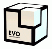 Caja EVO Banco La caja de EVO Banco: Elemento tangible del banco