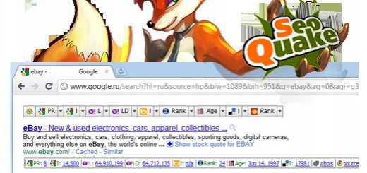 Imagen de SEO Quake funcionando