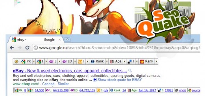 Imagen de SEO Quake funcionando