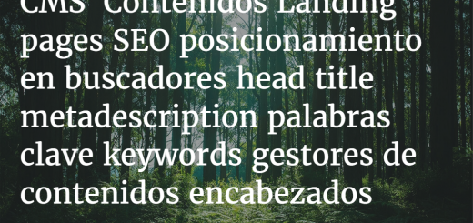 CMS Contenidos: SEO y palabras clave