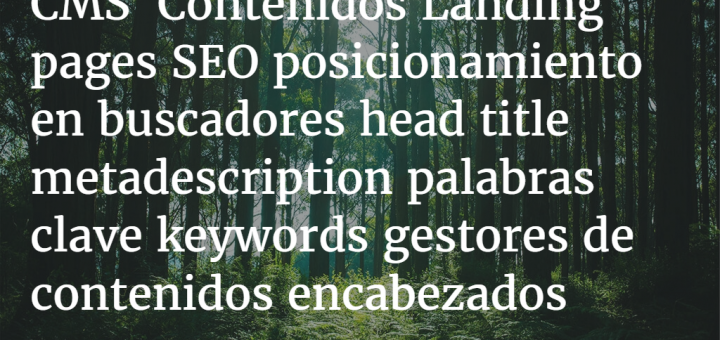 CMS Contenidos: SEO y palabras clave